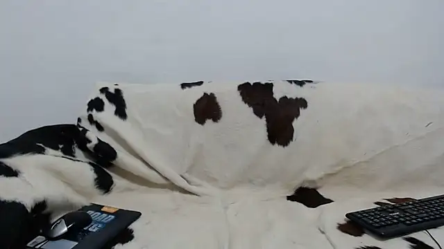 Dan jonson15 online show from 26, 11, 2025