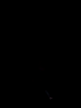 Snapshot of cumitted chatting on 2, 11, 2025 cumitted online show from 2, 11, 2025