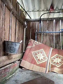 PhanHaa online show from 23, 2, 2026