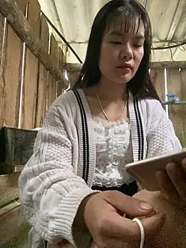 PhanHaa online show from 14, 1, 2026