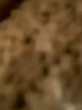 PhanHaa online show from 18, 11, 2025