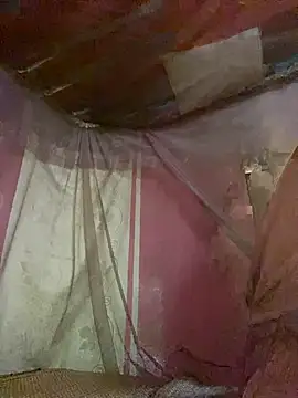 PhanHaa online show from 7, 10, 2025