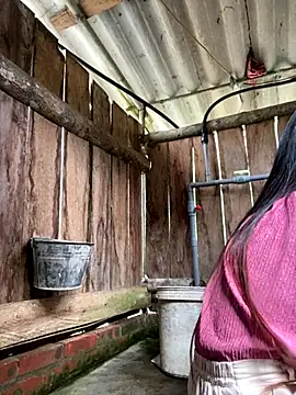 PhanHaa online show from 2, 10, 2025