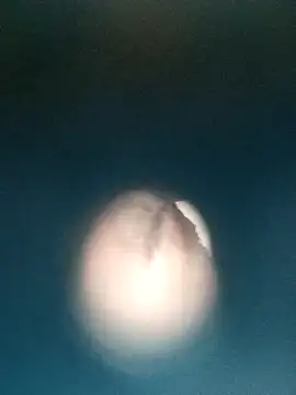 Sonya51561 online show from 19, 12, 2025