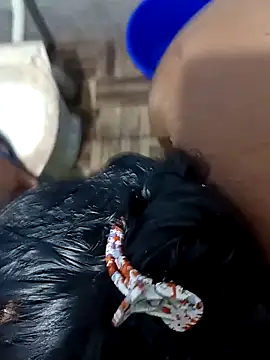 WholeAltimeter25 online show from 27, 10, 2025