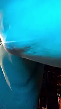 twistafatpipe online show from 27, 9, 2025