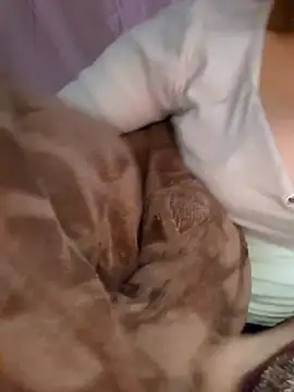 Nana-bar online show from 24, 11, 2025