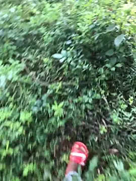 kavi1q1 online show from 17, 1, 2026