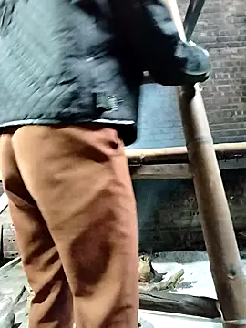 Sinejdk3 online show from 24, 10, 2025