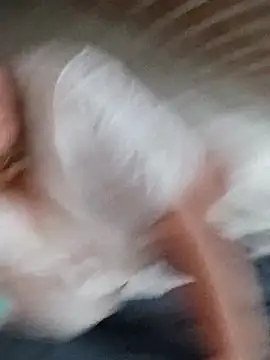 Kiss Eva online show from 14, 12, 2025