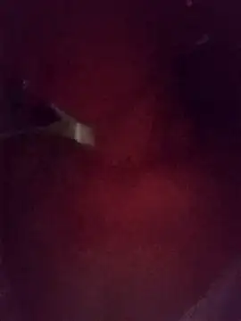 sulove xx online show from 12, 11, 2025