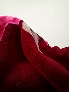 Buny vera online show from 20, 12, 2025