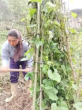 quynhkoolbae online show from 21, 3, 2026