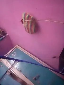 TINASONI online show from 16, 11, 2025