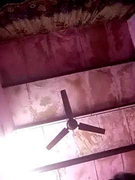 TINASONI online show from 4, 4, 2026