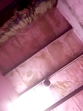 TINASONI online show from 3, 4, 2026