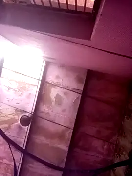 TINASONI online show from 9, 10, 2025