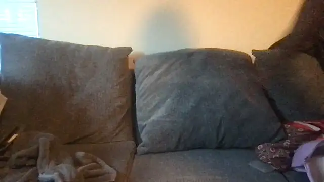 Snapshot of RichDaddy60 chatting on 4, 11, 2025 RichDaddy60 online show from 4, 11, 2025