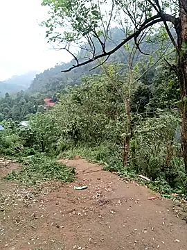 linda bae00 online show from 6, 3, 2026