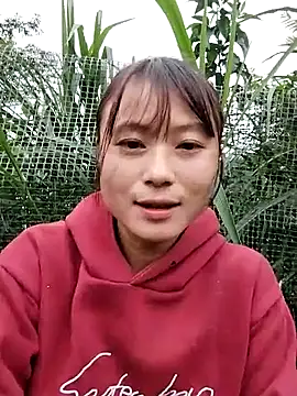 linda bae00 online show from 12, 11, 2025