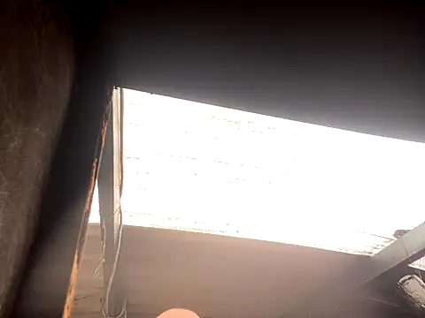 rider239 online show from 2, 10, 2025