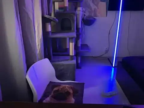 Snapshot of davesinner chatting on 2, 3, 2026 davesinner online show from 2, 3, 2026