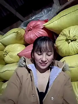 Mini3333 online show from 29, 11, 2025