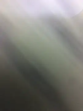 HaltBrand online show from 22, 10, 2025