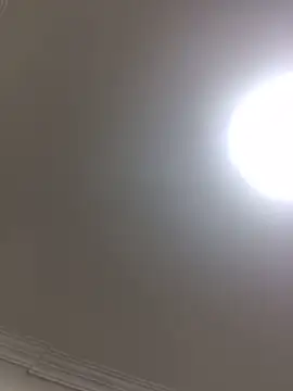 HaltBrand online show from 21, 10, 2025