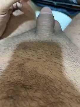 HaltBrand online show from 9, 11, 2025