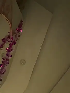 HaltBrand online show from 1, 3, 2026