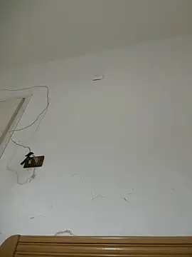 HaltBrand online show from 26, 9, 2025