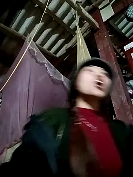 adbosa 00 online show from 29, 11, 2025