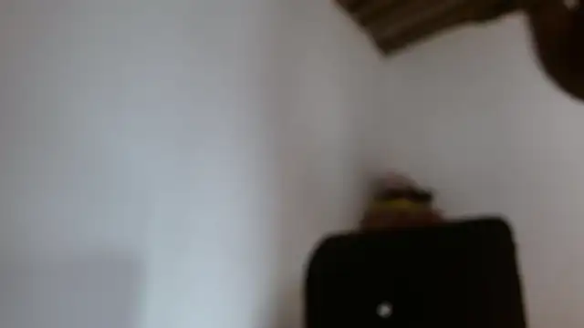 DaiishaWolf online show from 28, 5, 2026