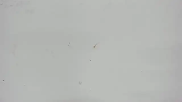 Aisha hotts777 online show from 15, 4, 2026