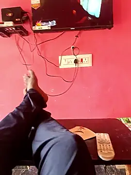 dolphiinn online show from 14, 1, 2026