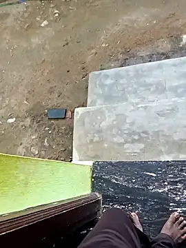 dolphiinn online show from 1, 11, 2025