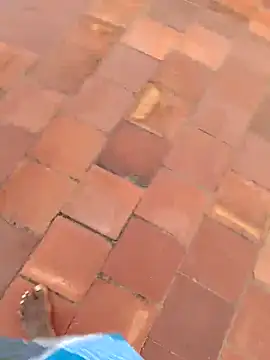 dolphiinn online show from 19, 10, 2025