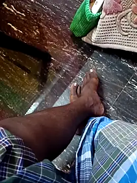 dolphiinn online show from 8, 11, 2025