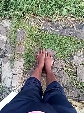 dolphiinn online show from 23, 12, 2025