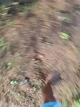 dolphiinn online show from 12, 3, 2026