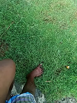 dolphiinn online show from 7, 11, 2025