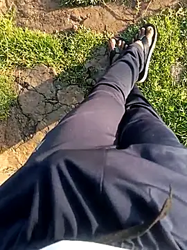 dolphiinn online show from 24, 3, 2026