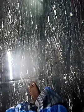 dolphiinn online show from 28, 11, 2025