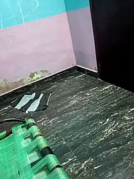 dolphiinn online show from 18, 11, 2025