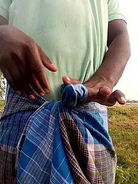 dolphiinn online show from 19, 2, 2026