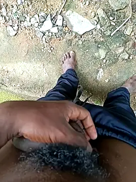 dolphiinn online show from 18, 12, 2025