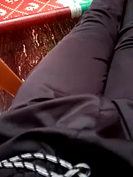 dolphiinn online show from 8, 11, 2025