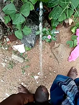 dolphiinn online show from 10, 11, 2025