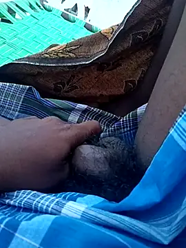 dolphiinn online show from 13, 10, 2025